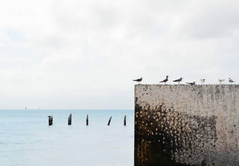 Unauth title ZLFAimVM